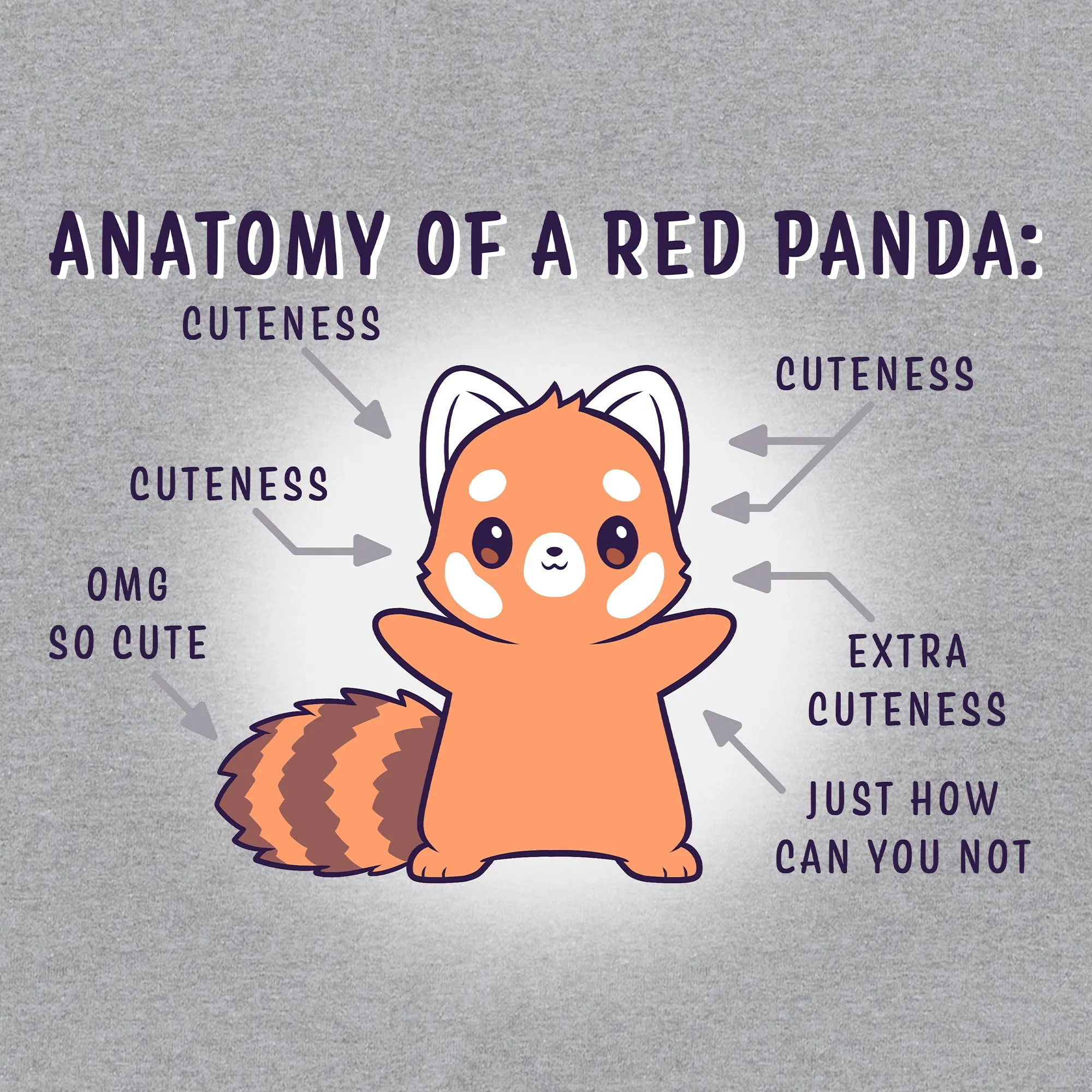 Anatomy of a Red Panda